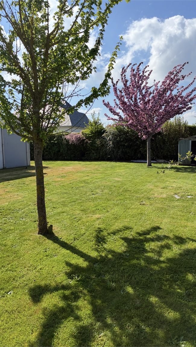 Pelouse tondue autour d'arbres fruitiers en fleurs